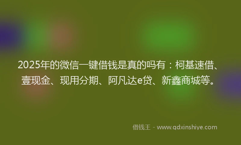 2025年的微信一键借钱是真的吗有：柯基速借、壹现金、现用分期、阿凡达e贷、新鑫商城等。