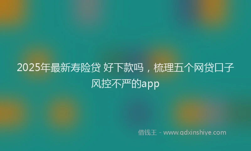 2025年最新寿险贷 好下款吗，梳理五个网贷口子风控不严的app