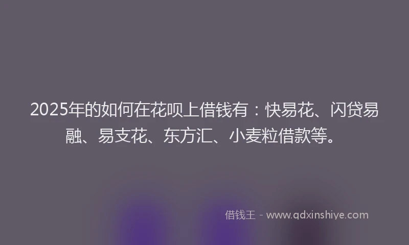2025年的如何在花呗上借钱有：快易花、闪贷易融、易支花、东方汇、小麦粒借款等。