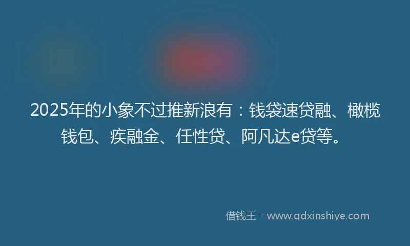 2025年的小象不过推新浪有：钱袋速贷融、橄榄钱包、疾融金、任性贷、阿凡达e贷等。