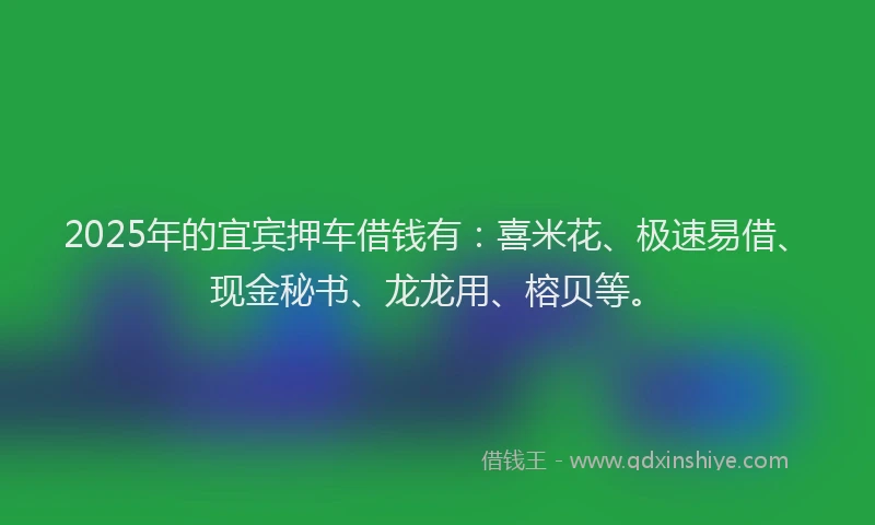 2025年的宜宾押车借钱有：喜米花、极速易借、现金秘书、龙龙用、榕贝等。