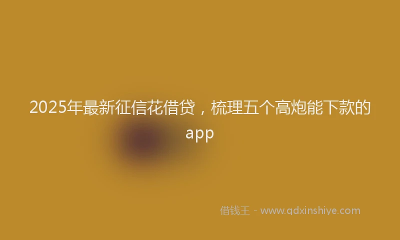 2025年最新征信花借贷，梳理五个高炮能下款的app