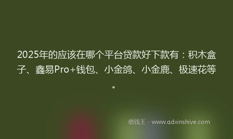 2025年的应该在哪个平台贷款好下款有：积木盒子、鑫易Pro+钱包、小金鸽、小金鹿、极速花等。