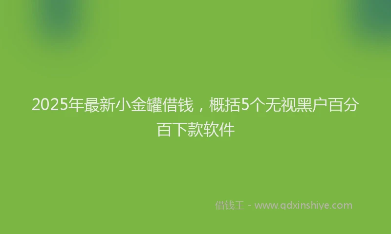 2025年最新小金罐借钱，概括5个无视黑户百分百下款软件