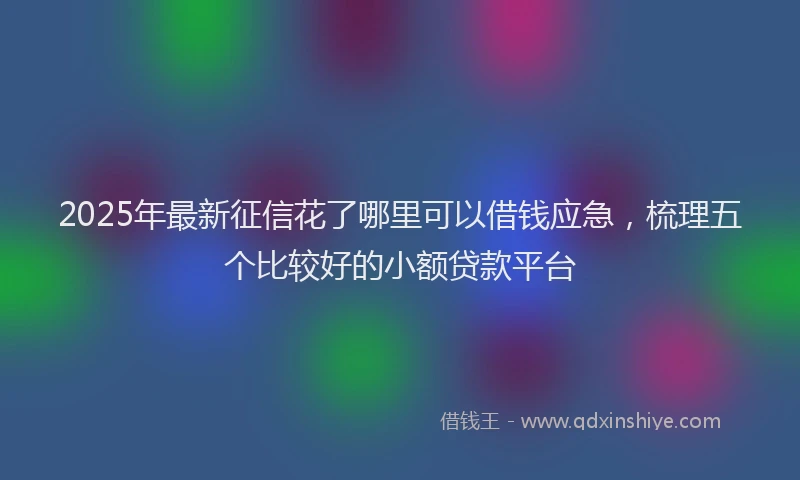 2025年最新征信花了哪里可以借钱应急，梳理五个比较好的小额贷款平台