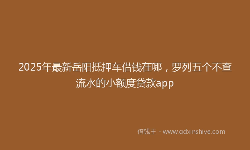 2025年最新岳阳抵押车借钱在哪，罗列五个不查流水的小额度贷款app