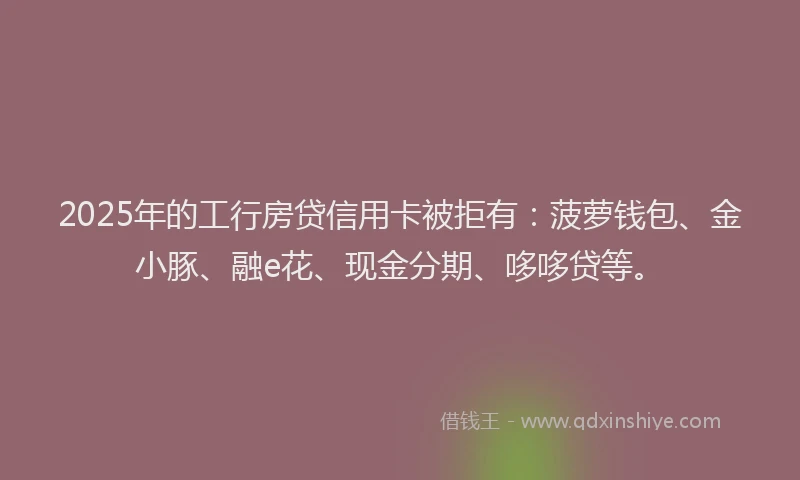 2025年的工行房贷信用卡被拒有：菠萝钱包、金小豚、融e花、现金分期、哆哆贷等。