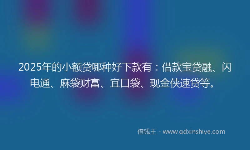 2025年的小额贷哪种好下款有：借款宝贷融、闪电通、麻袋财富、宜口袋、现金侠速贷等。