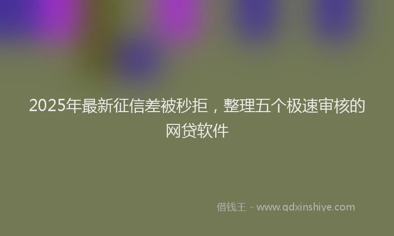 2025年最新征信差被秒拒，整理五个极速审核的网贷软件