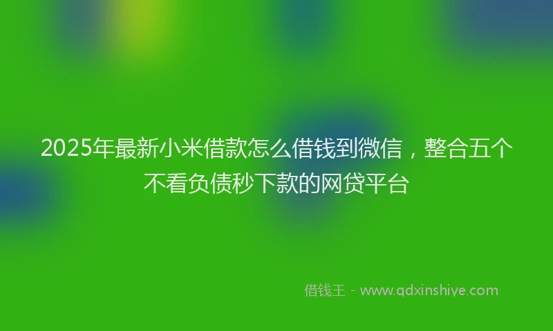 2025年最新小米借款怎么借钱到微信，整合五个不看负债秒下款的网贷平台