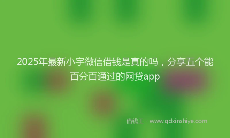2025年最新小宇微信借钱是真的吗，分享五个能百分百通过的网贷app