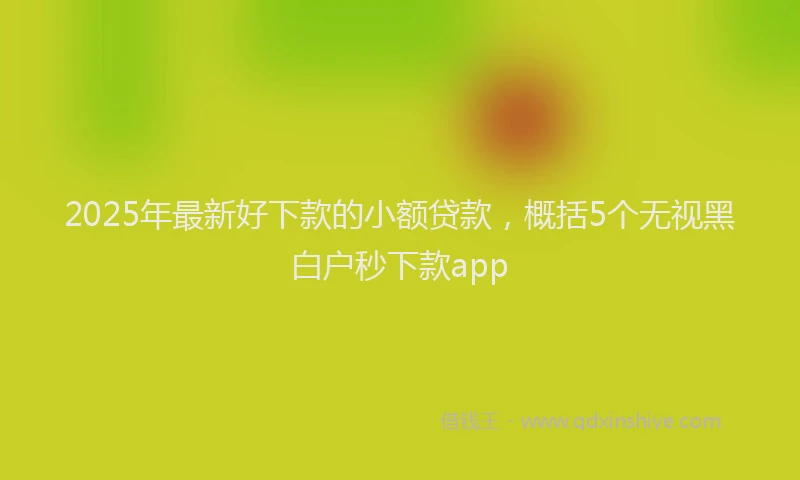 2025年最新好下款的小额贷款，概括5个无视黑白户秒下款app