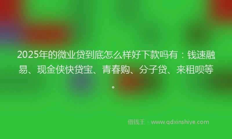 2025年的微业贷到底怎么样好下款吗有：钱速融易、现金侠快贷宝、青春购、分子贷、来租呗等。