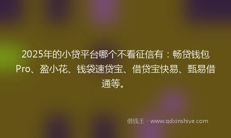 2025年的小贷平台哪个不看征信有：畅贷钱包Pro、盈小花、钱袋速贷宝、借贷宝快易、甄易借通等。