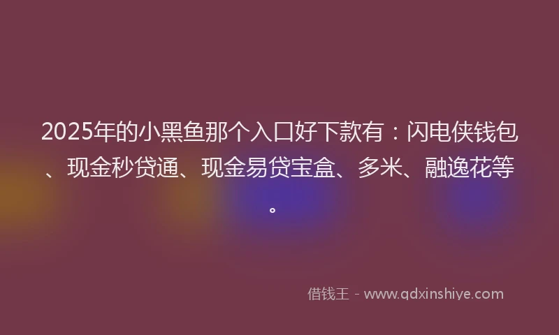 2025年的小黑鱼那个入口好下款有：闪电侠钱包、现金秒贷通、现金易贷宝盒、多米、融逸花等。