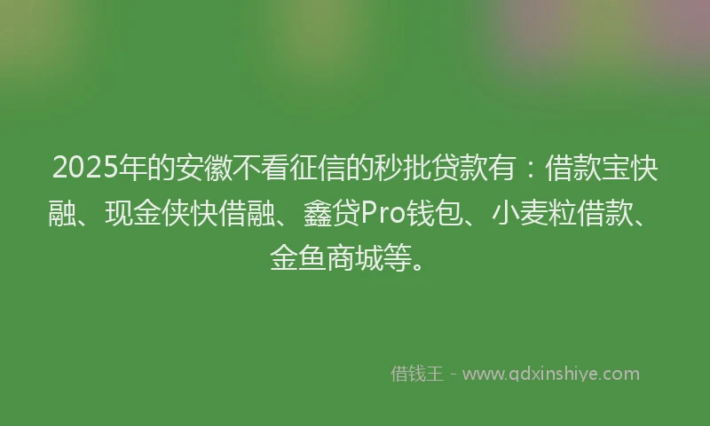 2025年的安徽不看征信的秒批贷款有：借款宝快融、现金侠快借融、鑫贷Pro钱包、小麦粒借款、金鱼商城等。