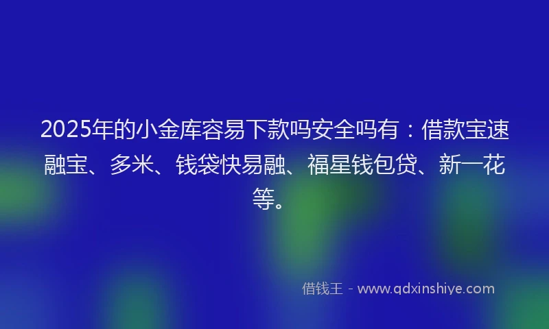 2025年的小金库容易下款吗安全吗有：借款宝速融宝、多米、钱袋快易融、福星钱包贷、新一花等。
