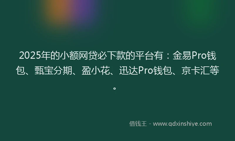 2025年的小额网贷必下款的平台有：金易Pro钱包、甄宝分期、盈小花、迅达Pro钱包、京卡汇等。