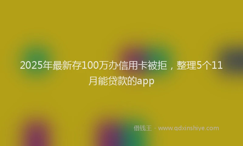 2025年最新存100万办信用卡被拒，整理5个11月能贷款的app