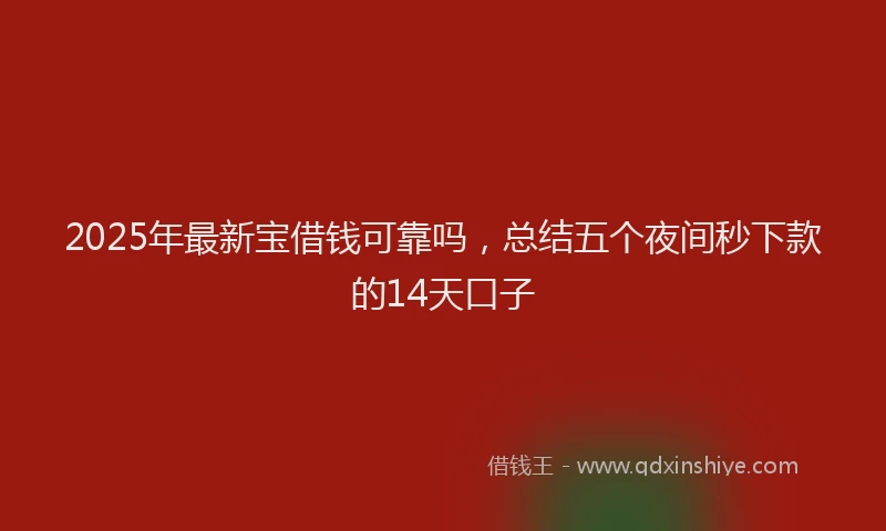 2025年最新宝借钱可靠吗，总结五个夜间秒下款的14天口子