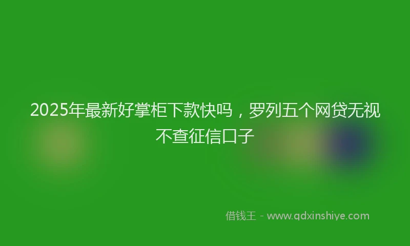 2025年最新好掌柜下款快吗，罗列五个网贷无视不查征信口子