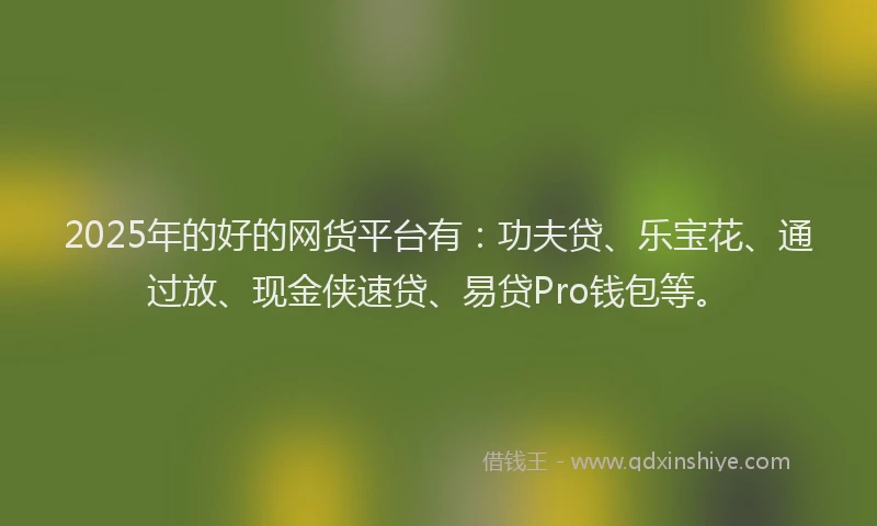 2025年的好的网货平台有：功夫贷、乐宝花、通过放、现金侠速贷、易贷Pro钱包等。