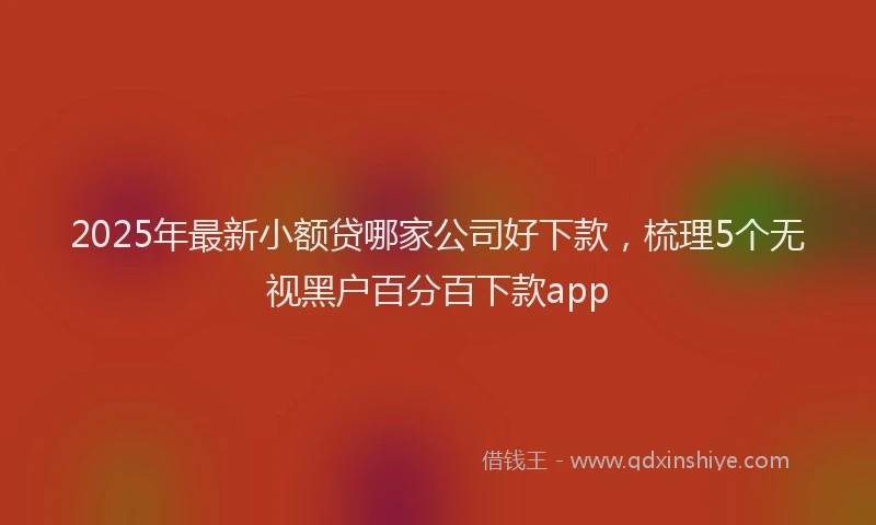 2025年最新小额贷哪家公司好下款，梳理5个无视黑户百分百下款app