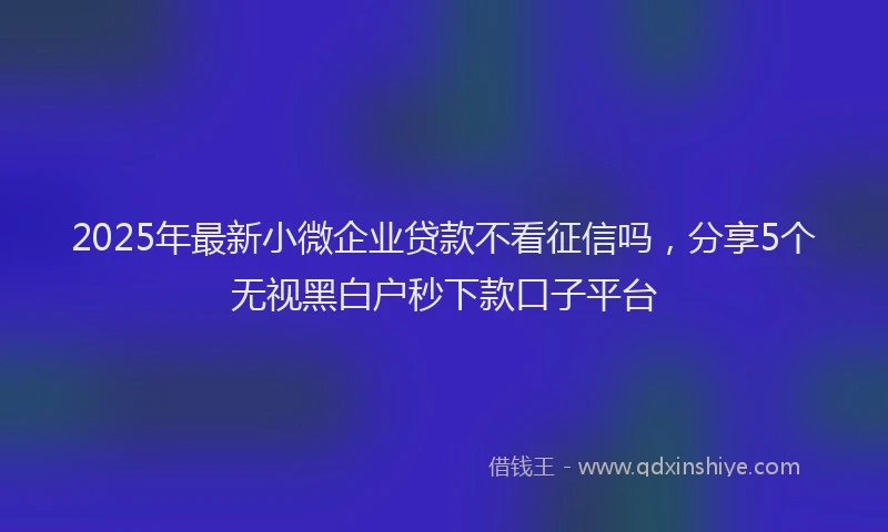 2025年最新小微企业贷款不看征信吗，分享5个无视黑白户秒下款口子平台