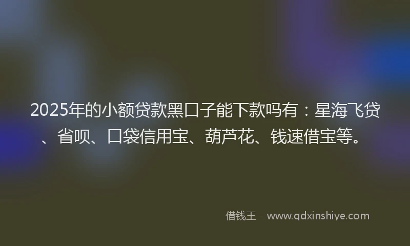2025年的小额贷款黑口子能下款吗有：星海飞贷、省呗、口袋信用宝、葫芦花、钱速借宝等。