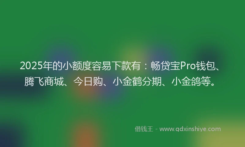 2025年的小额度容易下款有：畅贷宝Pro钱包、腾飞商城、今日购、小金鹤分期、小金鸽等。