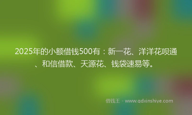 2025年的小额借钱500有：新一花、洋洋花呗通、和信借款、天源花、钱袋速易等。