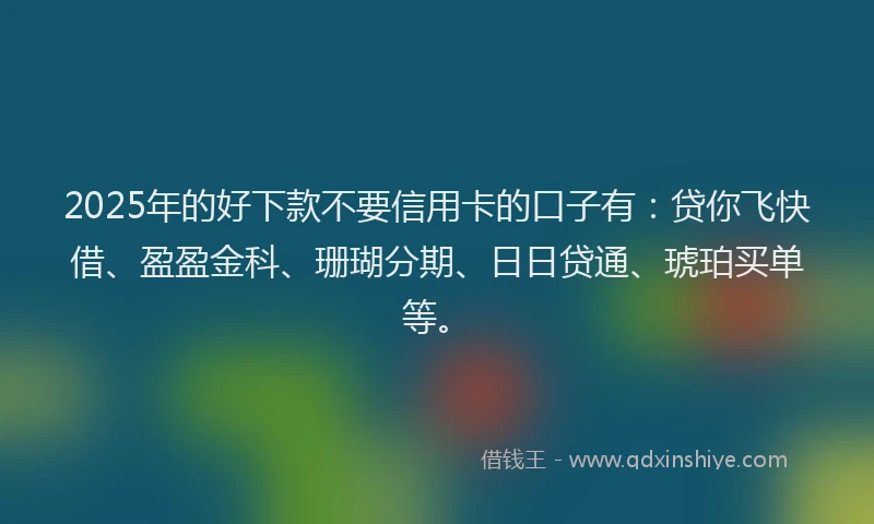 2025年的好下款不要信用卡的口子有：贷你飞快借、盈盈金科、珊瑚分期、日日贷通、琥珀买单等。
