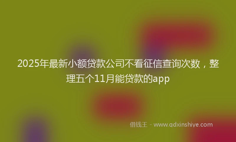 2025年最新小额贷款公司不看征信查询次数，整理五个11月能贷款的app