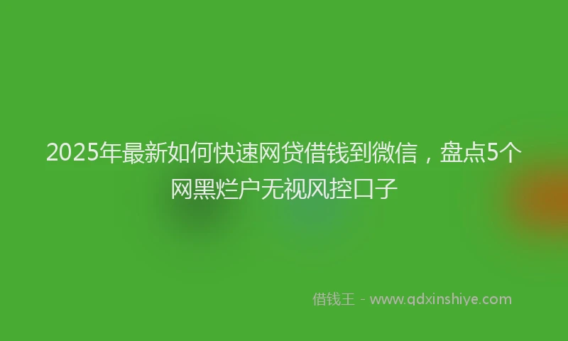 2025年最新如何快速网贷借钱到微信，盘点5个网黑烂户无视风控口子