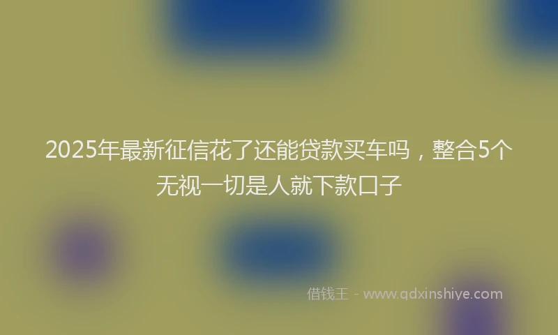 2025年最新征信花了还能贷款买车吗，整合5个无视一切是人就下款口子
