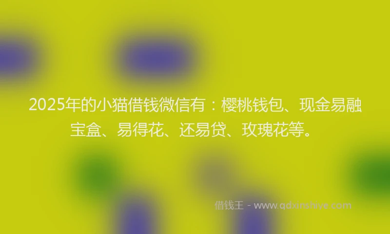 2025年的小猫借钱微信有：樱桃钱包、现金易融宝盒、易得花、还易贷、玫瑰花等。