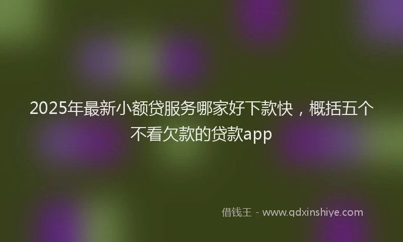 2025年最新小额贷服务哪家好下款快，概括五个不看欠款的贷款app