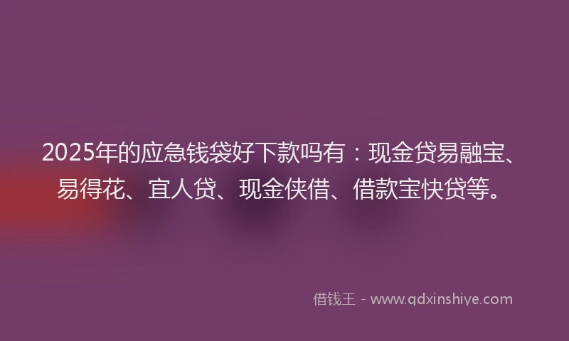 2025年的应急钱袋好下款吗有：现金贷易融宝、易得花、宜人贷、现金侠借、借款宝快贷等。