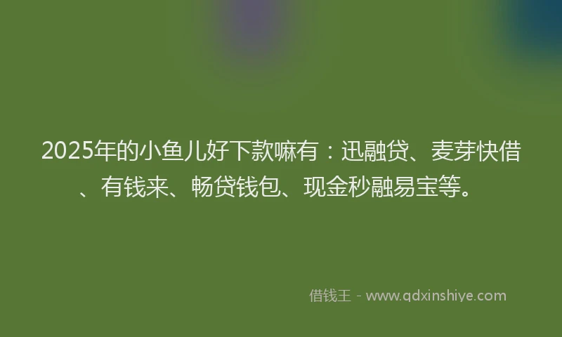 2025年的小鱼儿好下款嘛有：迅融贷、麦芽快借、有钱来、畅贷钱包、现金秒融易宝等。