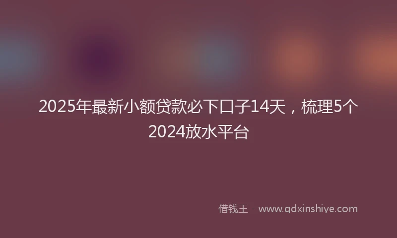 2025年最新小额贷款必下口子14天，梳理5个2024放水平台