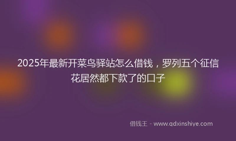 2025年最新开菜鸟驿站怎么借钱，罗列五个征信花居然都下款了的口子