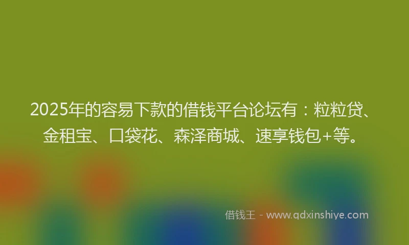 2025年的容易下款的借钱平台论坛有：粒粒贷、金租宝、口袋花、森泽商城、速享钱包+等。