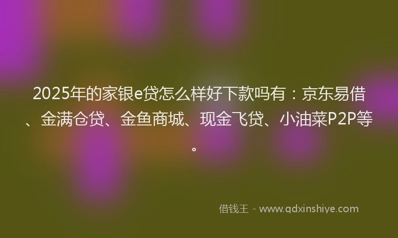 2025年的家银e贷怎么样好下款吗有：京东易借、金满仓贷、金鱼商城、现金飞贷、小油菜P2P等。