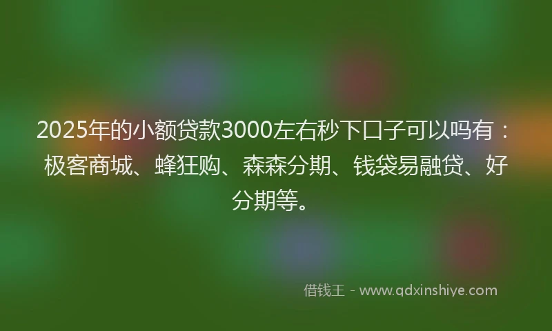 2025年的小额贷款3000左右秒下口子可以吗有：极客商城、蜂狂购、森森分期、钱袋易融贷、好分期等。