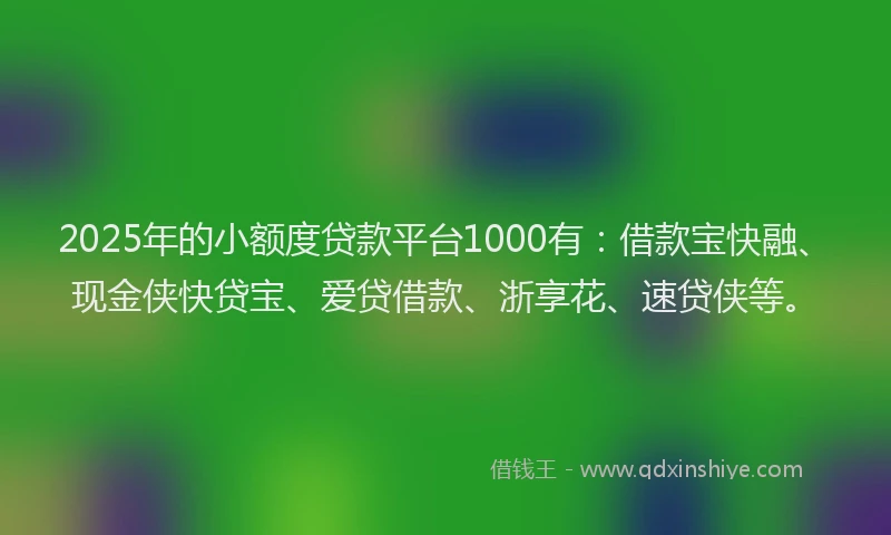 2025年的小额度贷款平台1000有：借款宝快融、现金侠快贷宝、爱贷借款、浙享花、速贷侠等。
