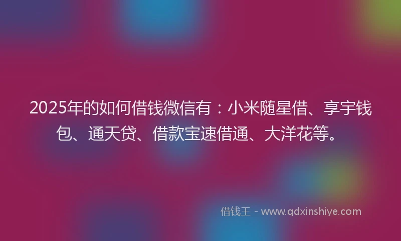2025年的如何借钱微信有：小米随星借、享宇钱包、通天贷、借款宝速借通、大洋花等。