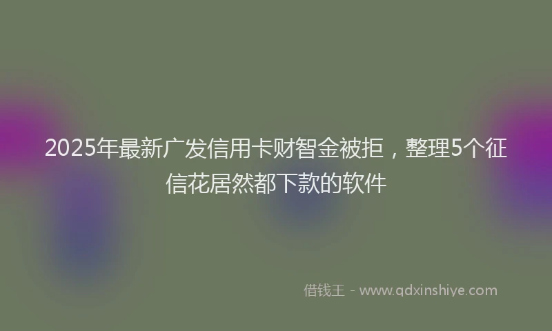 2025年最新广发信用卡财智金被拒，整理5个征信花居然都下款的软件