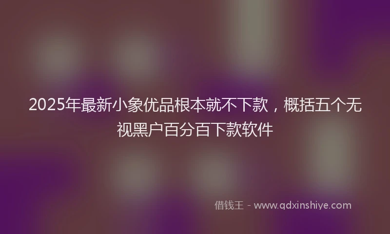 2025年最新小象优品根本就不下款，概括五个无视黑户百分百下款软件