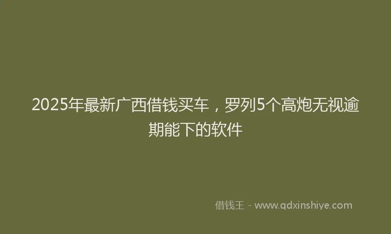 2025年最新广西借钱买车，罗列5个高炮无视逾期能下的软件