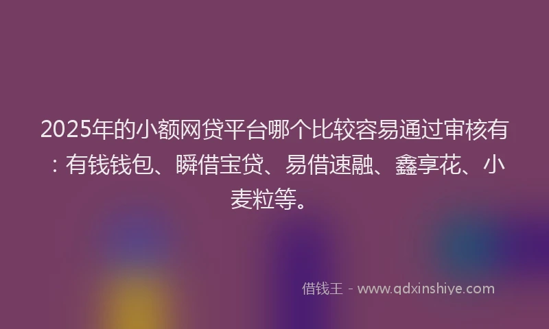 2025年的小额网贷平台哪个比较容易通过审核有：有钱钱包、瞬借宝贷、易借速融、鑫享花、小麦粒等。